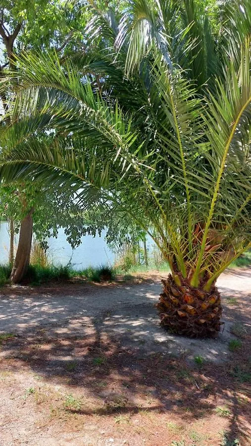 Appartement Aux Abords Du Lac à Arles